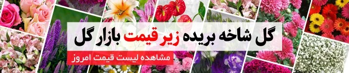 خرید گل و گیاهان طبیعی